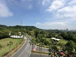 The Residences at W Singapore Sentosa Cove (D4), Condominium #564228301